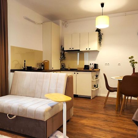 Garden City Studio Sibiu Buitenkant foto