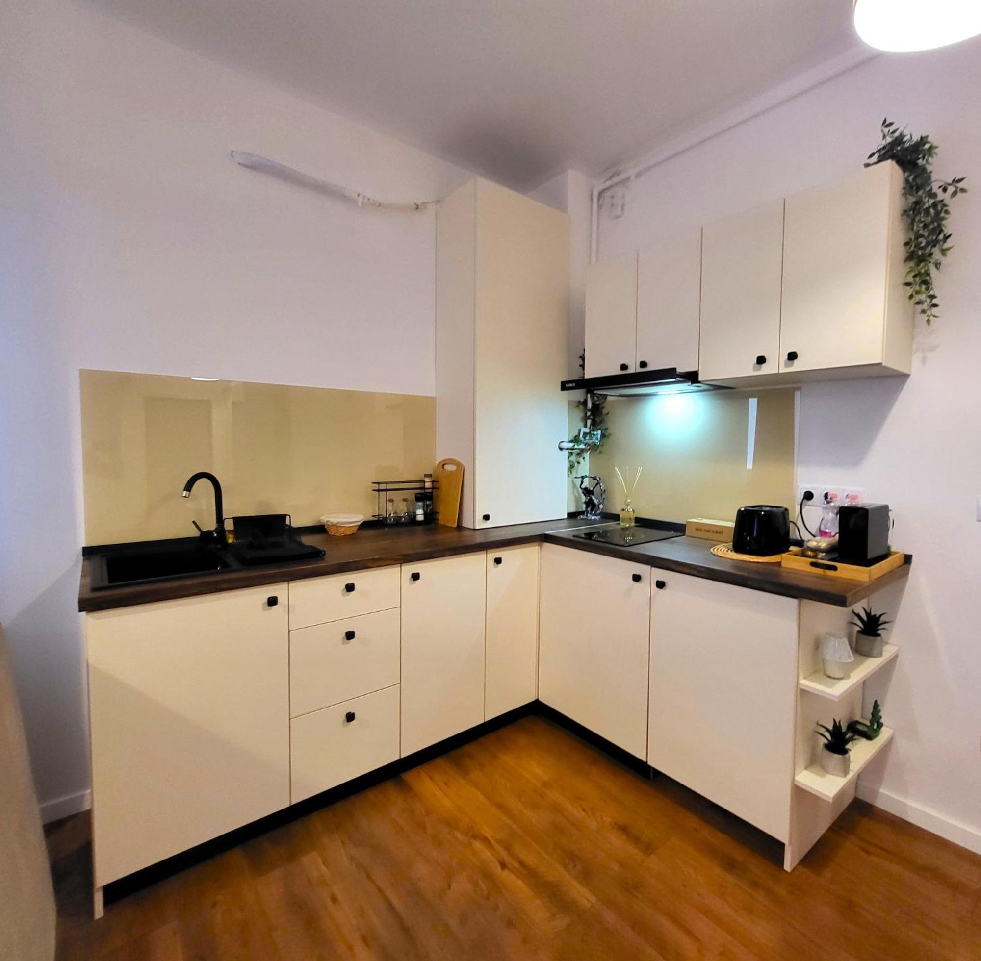 Garden City Studio Sibiu Buitenkant foto